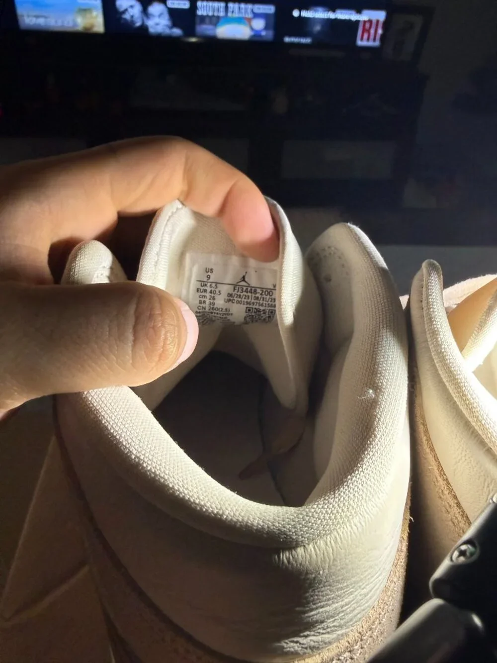 Jordan 1 Mid SE
